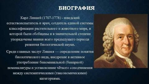 Ученый внесший вклад в систематику живых организмов