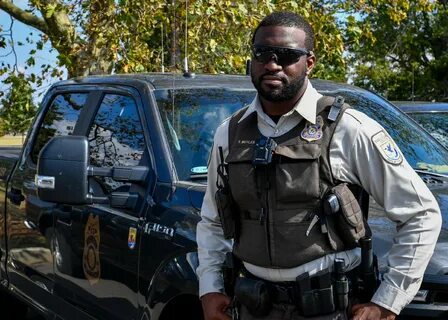 Wildlife services