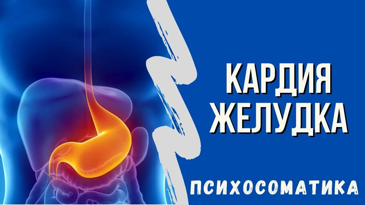 Недостаточность кардии желудка что это такое. Несмыкание кардии психосоматика. Несмыкание кардии желудка