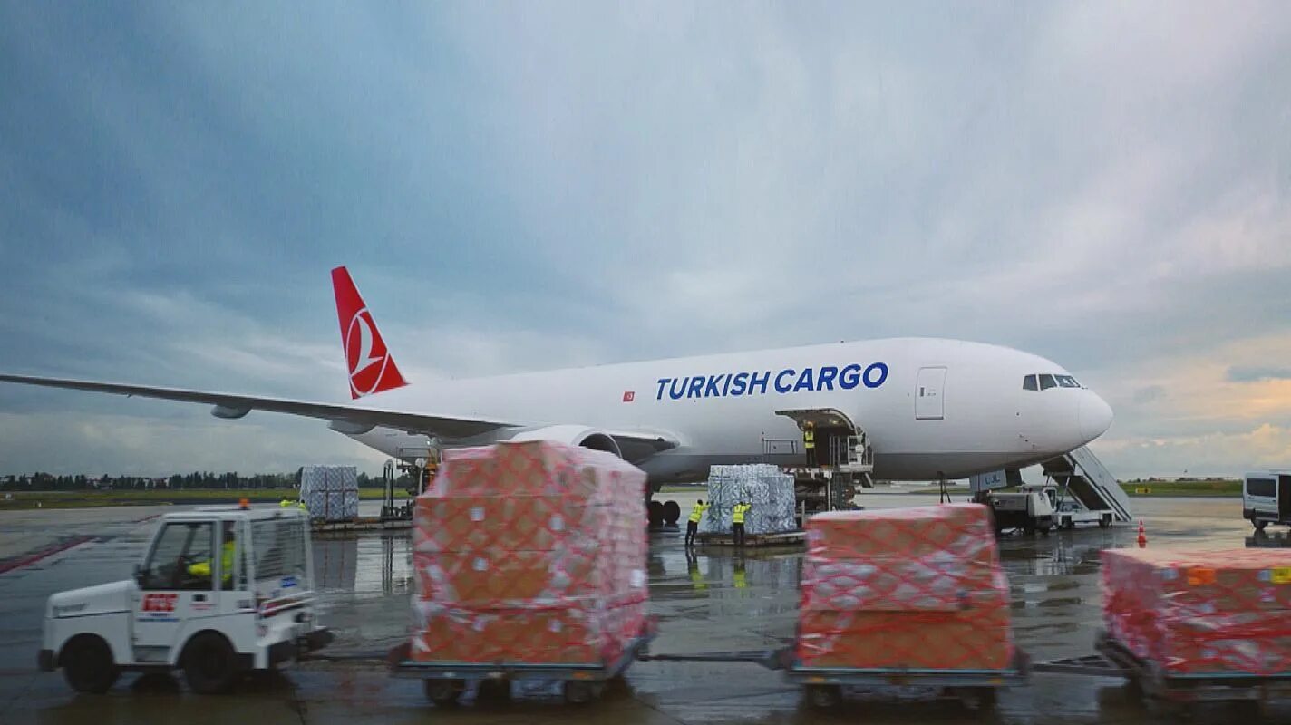 Карго турция россия. Turkish Cargo.