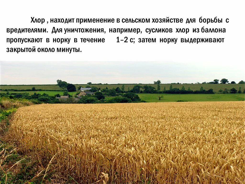 Как разумнее использовать сельскую местность