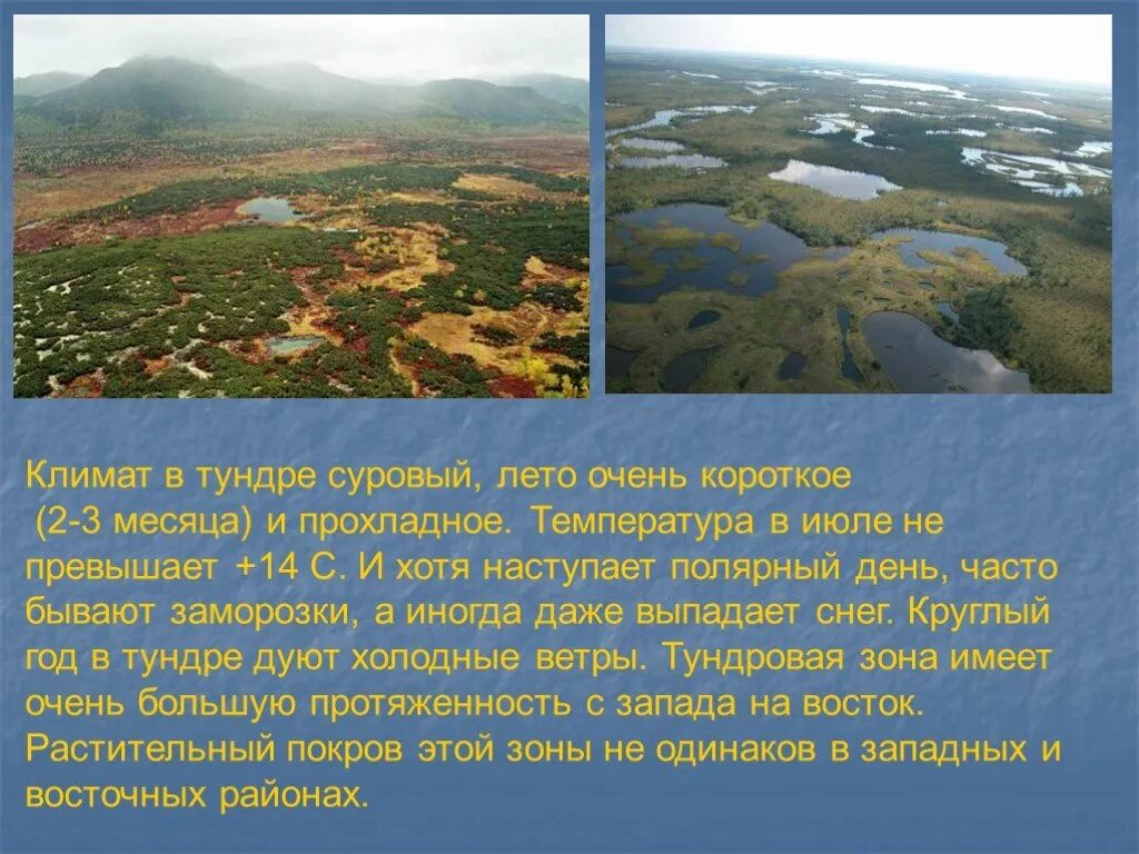 Тундра природная зона 5 класс. Климат тундры. Описание тундры. Тундра природная зона. Презентация на тему природные зоны.