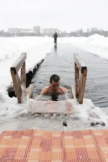 Моржи спб