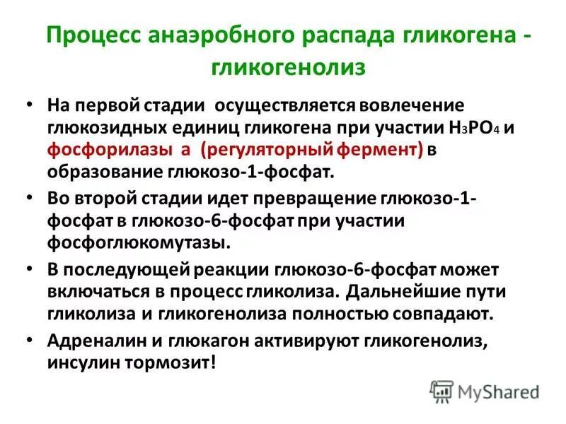 Анаэробный распад. Анаэробный распад гликогена. Процесс анаэробного распада гликогена. Анаэробный гликогенолиз. Анаэробный гликогенолиз биохимия.