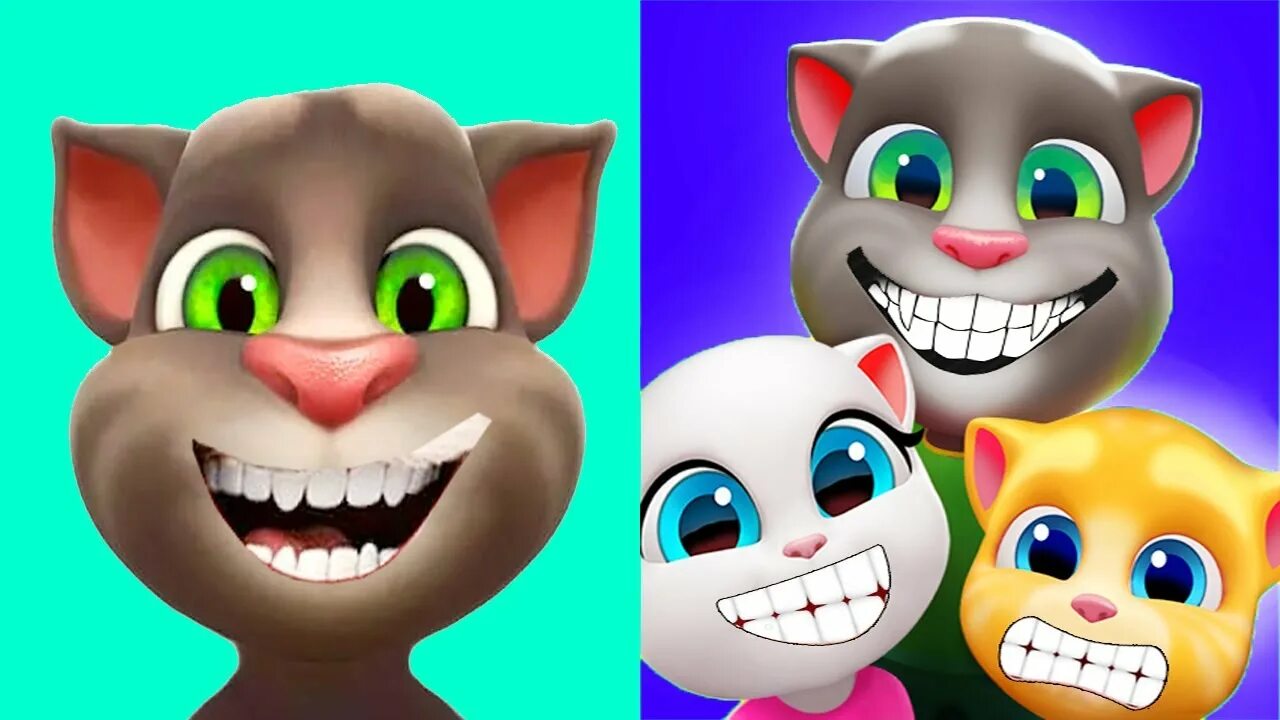 Кто создал мой говорящий том. Talking Tom. Talking Tom 2010. Talking Tom Cat. Игра talking Tom Cat (2010).