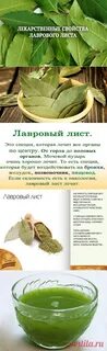 Рецепт лаврового листа от морщин