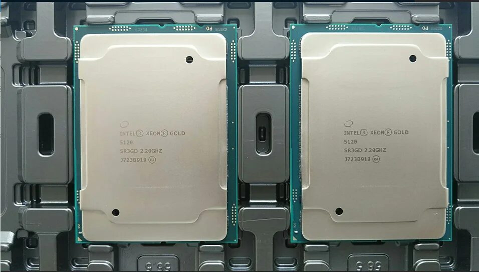 Xeon Gold 5120. Intel Xeon Gold 5118. Intel Xeon Gold-6222v. Процессор Intel Xeon Gold 6256.