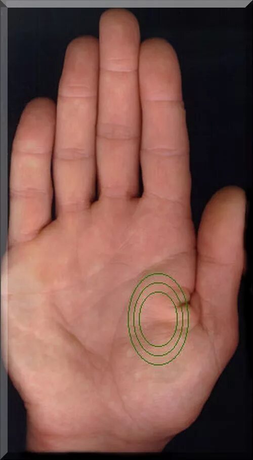 под безымянным пальцем на ладони