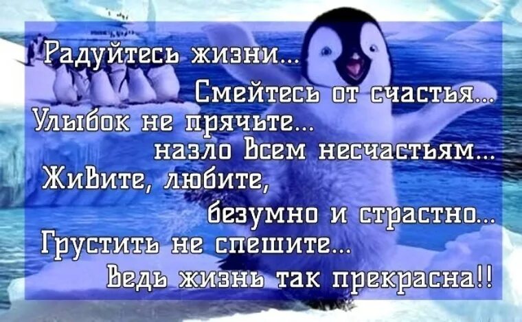 Радуйтесь жизни смейтесь от счастья стихи. Живите любите и радуйтесь жизни. Живите и радуйтесь жизни стихи. Живи радуйся люби. И равнодушие не прячь в улыбку