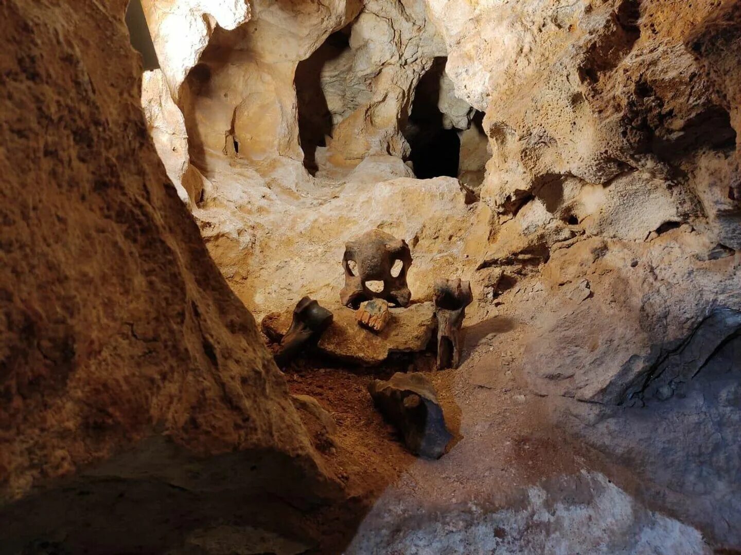 Пещера таврида экскурсии. Зуя пещера Таврида. Крымская пещера Таврида. Пещера Таврида Симферополь.