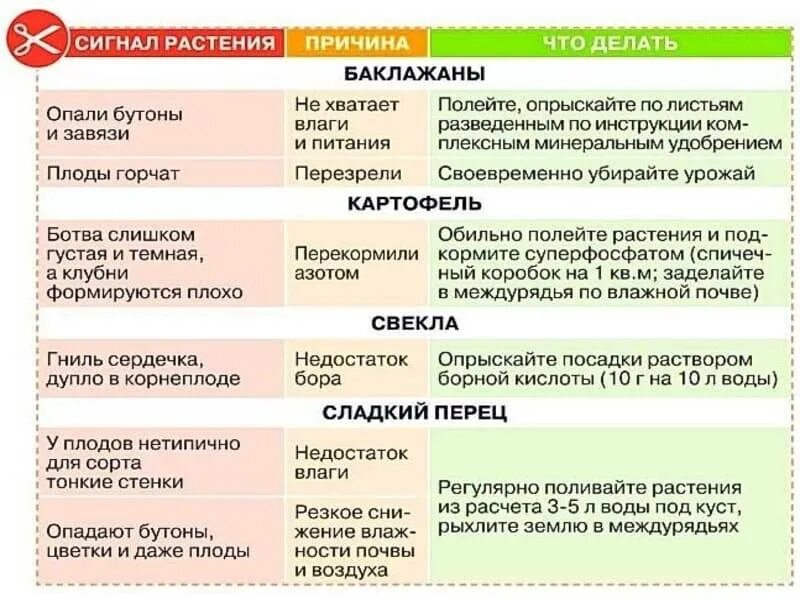 Какие культуры любят золу. Подкормка растений удобрениями. Таблица удобрений. Удобрения для сада и огорода таблица. Подкормка растений таблица.