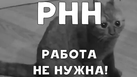 Рнн господин