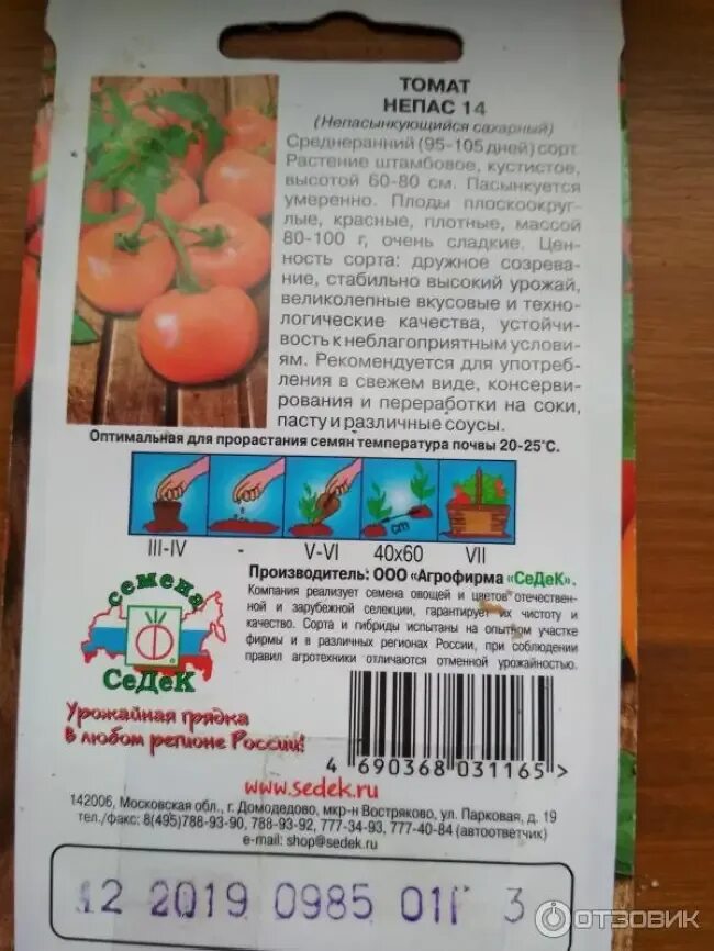 Томат сорт непас отзывы. Седек томат непас 2. томат непас сахарный. томат непас седек. томат непас 3.