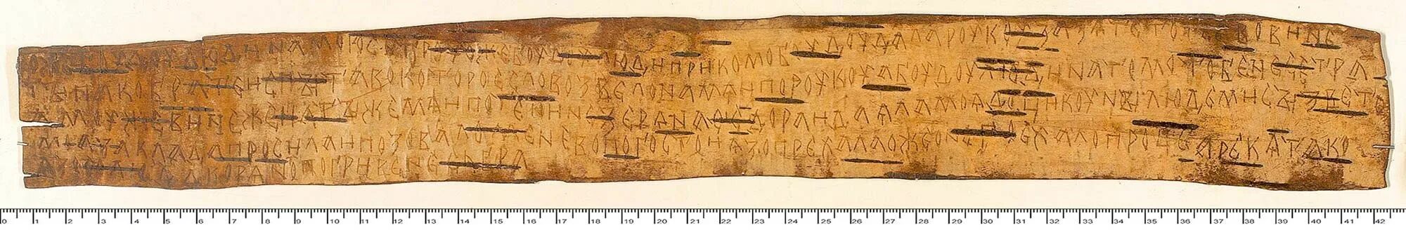 береста предложение