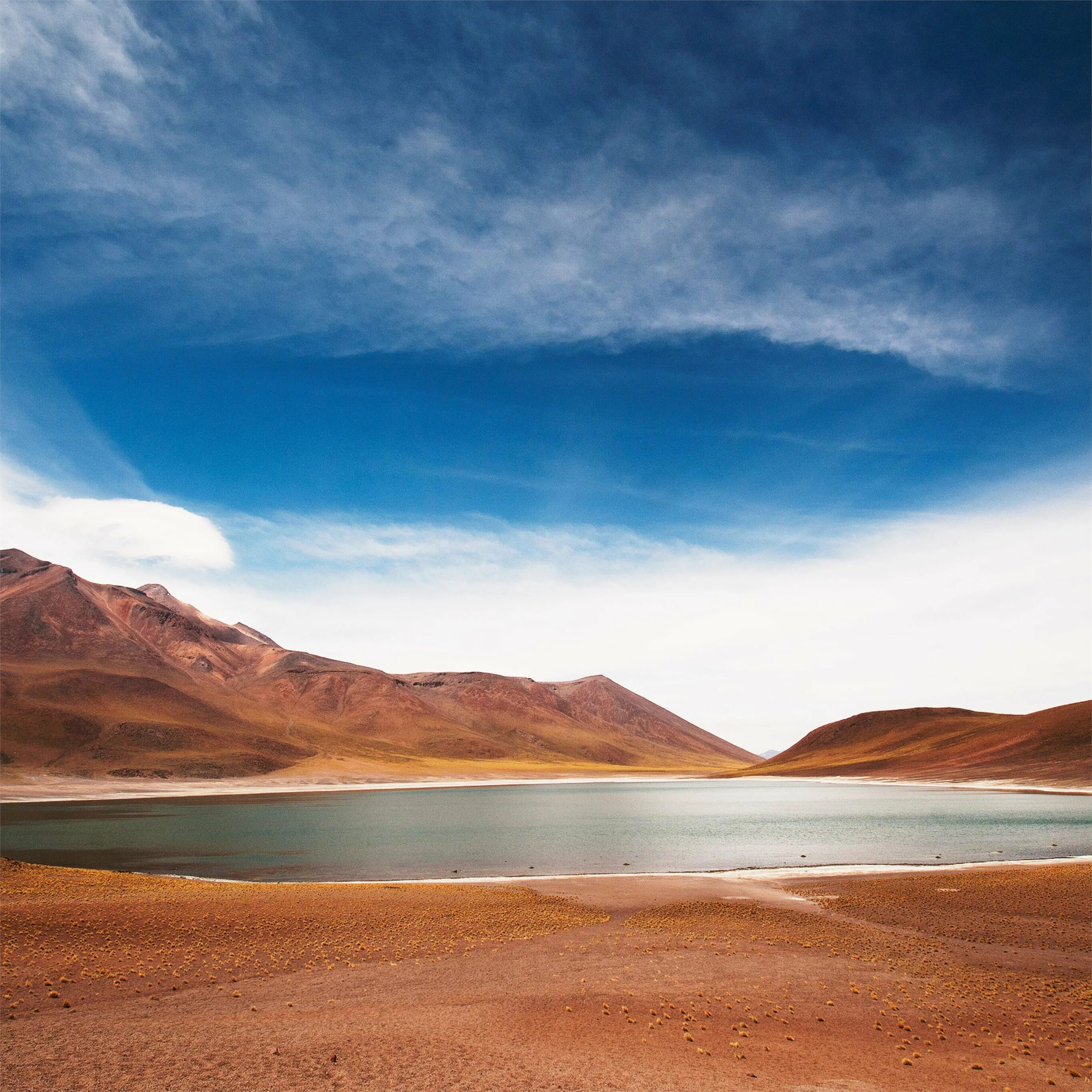 Atacama озеро. Южная Америка пустыня Атакама. Береговая пустыня Атакама. Цветущая пустыня Атакама. Образование пустыни атакама на западном побережье