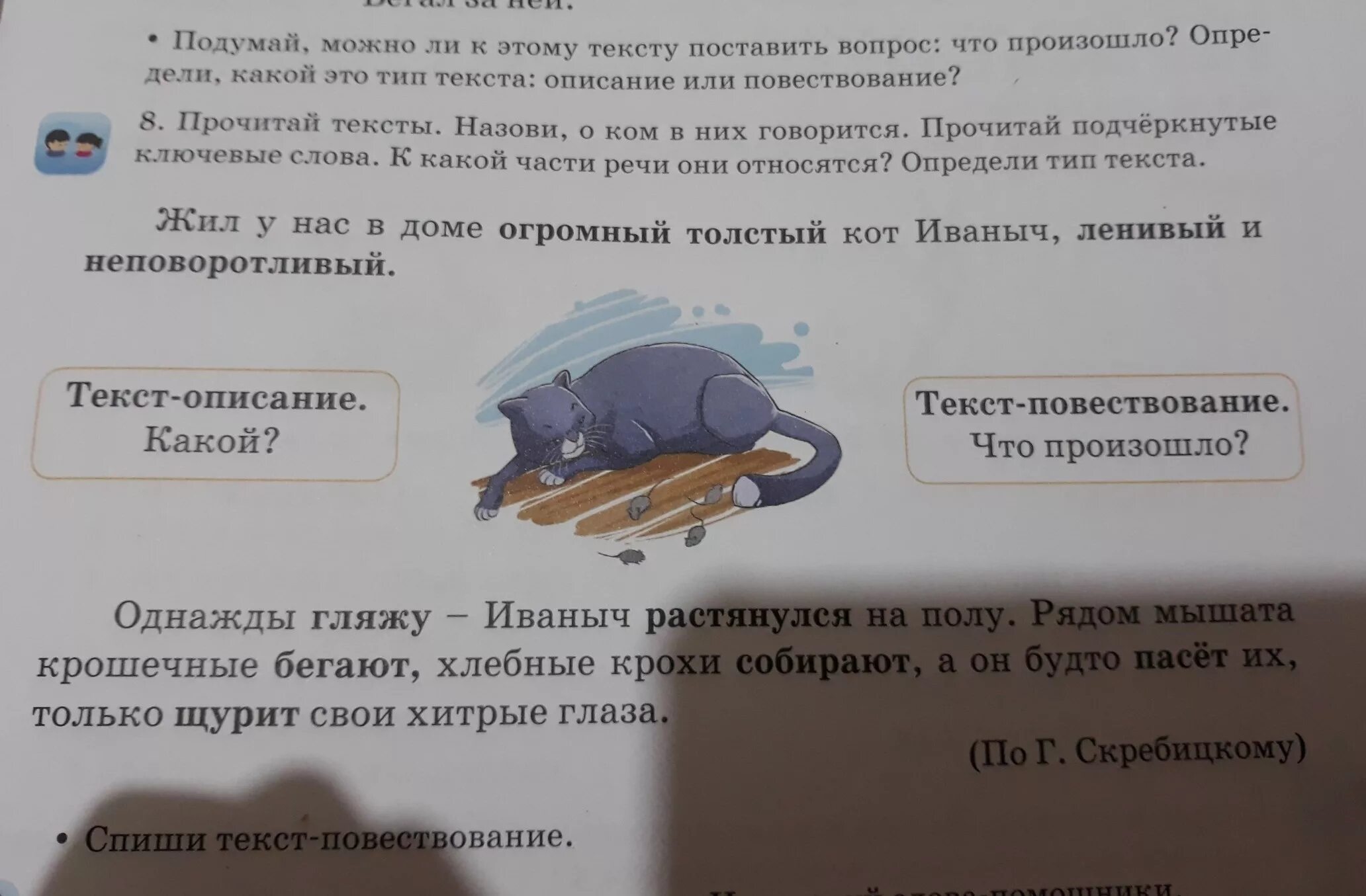Можно ли прочитанные предложения назвать текстом