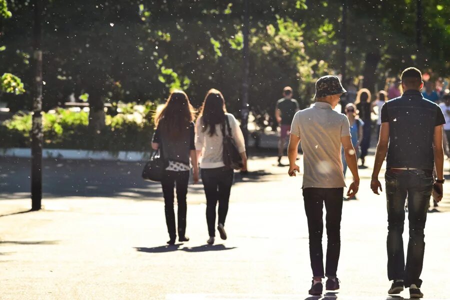 While we are walking. Студенты гуляют. студенты на прогулке. students walking and talking back view behind.