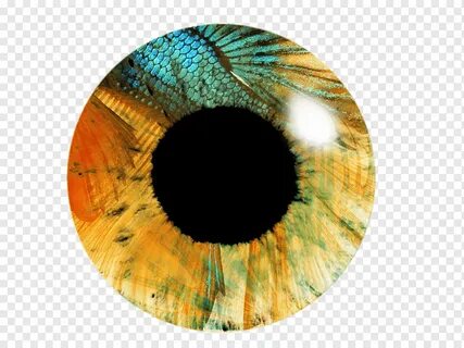 Eye edit