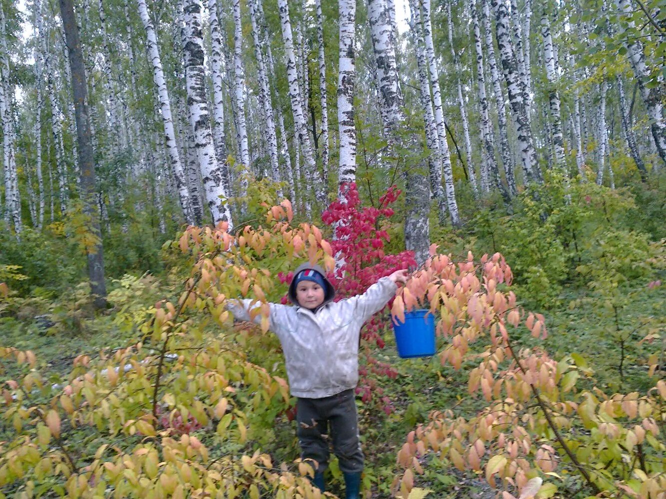 Ягодная Поляна Саратовская область Татищевский район. Село Ягодная Поляна Татищевского района. Село Ягодная Поляна Татищевского района Саратовской области. Саратов Ягодная Поляна Татищевский район.