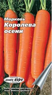 Морковь сорт королева осени отзывы