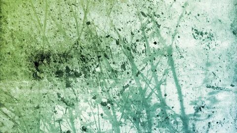 Paint surfaces