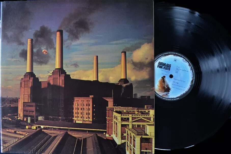Пинк флойд энималс свинья. Pink floyd animals 1977. Пинк флойд энималс свинья. Pink floyd animals 2018 remix. Pink floyd pig.