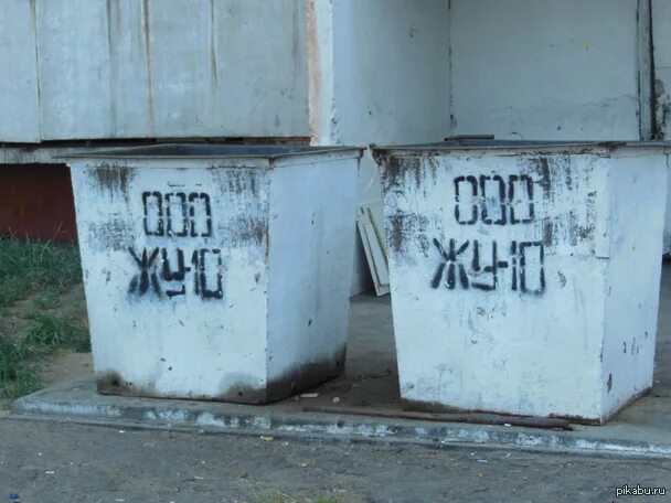 Скажи жуй. Жуй глотай. жуй жуй глотай мем.