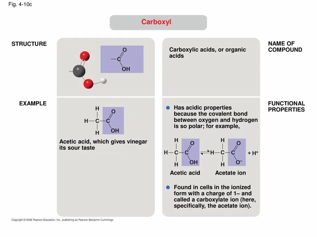 Function properties. Compound function. carboxyl group. compound function math. carbon-based compound.