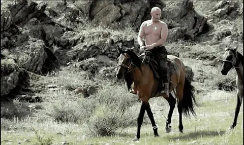 Коне без