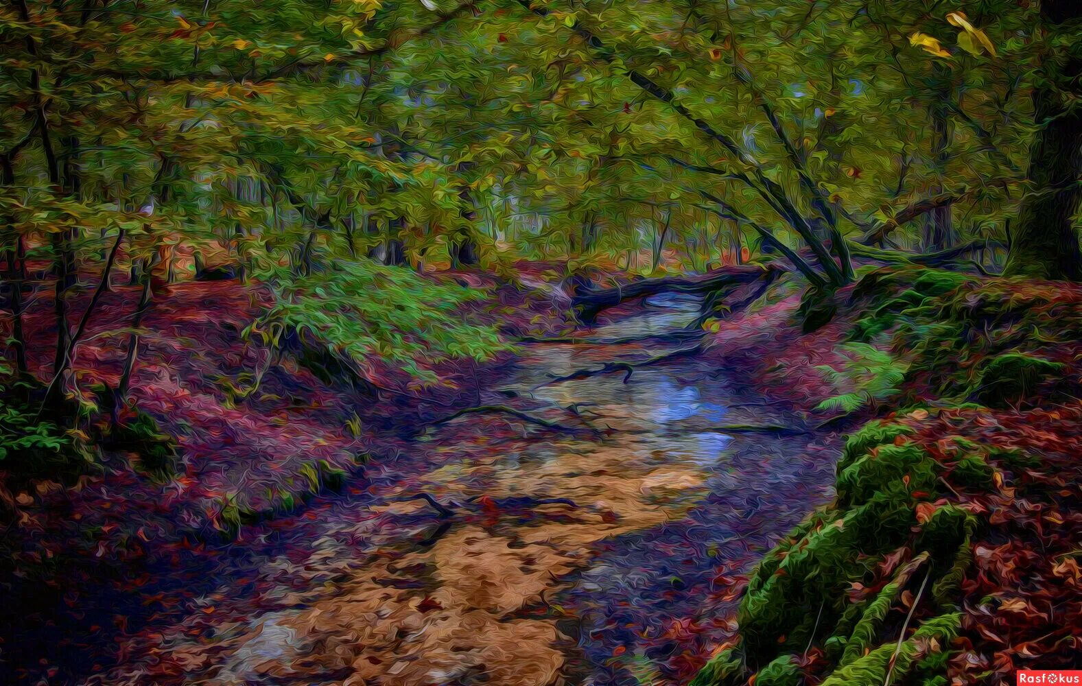 растительность ручей. ручей с камнями. жизнь как ручей. ручей прозрачная вода. ручей в лесу.