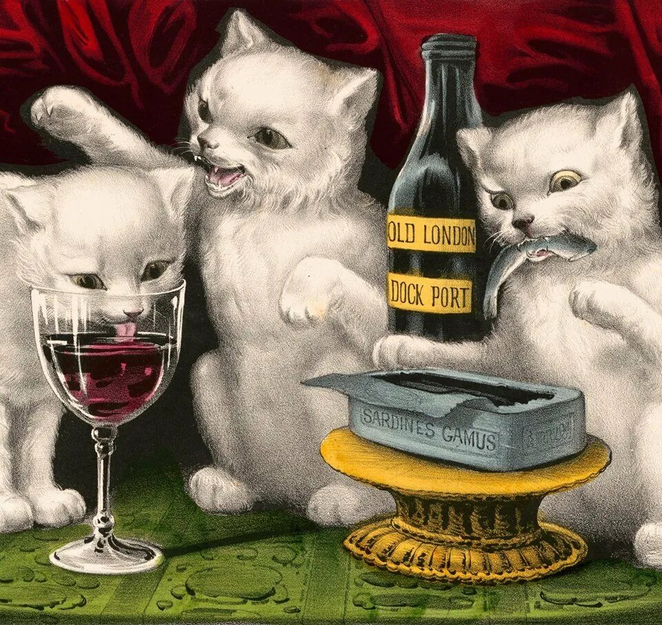 Картинки пьющий кот. Кот с вином. вино с изображением кота. весёлый кот алкоголь. кот пьет алкоголь.