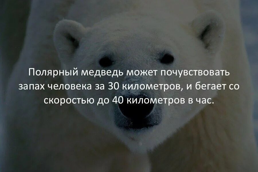 Многое интересное в мире