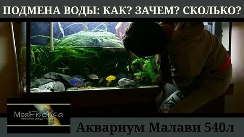 Когда менять аквариум
