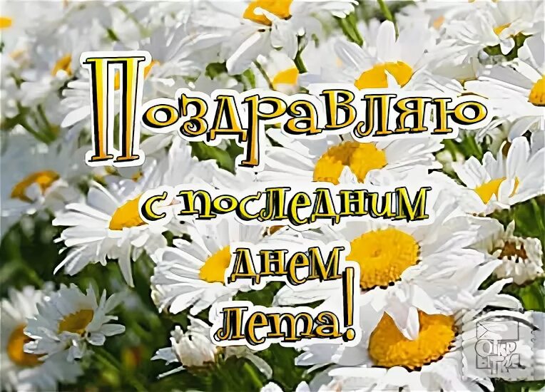 Как отметить последний день лета. Последний день лета. с последним летним днем 31 августа. с последним днем лета любимая. открытки 31 августа.