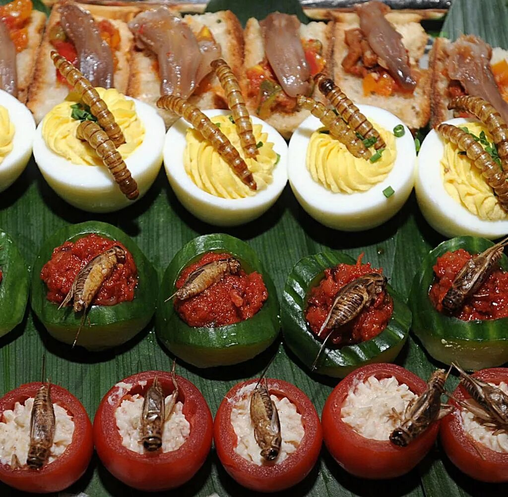 Вкусно жук. Вкусно жук