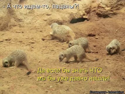 Давно б