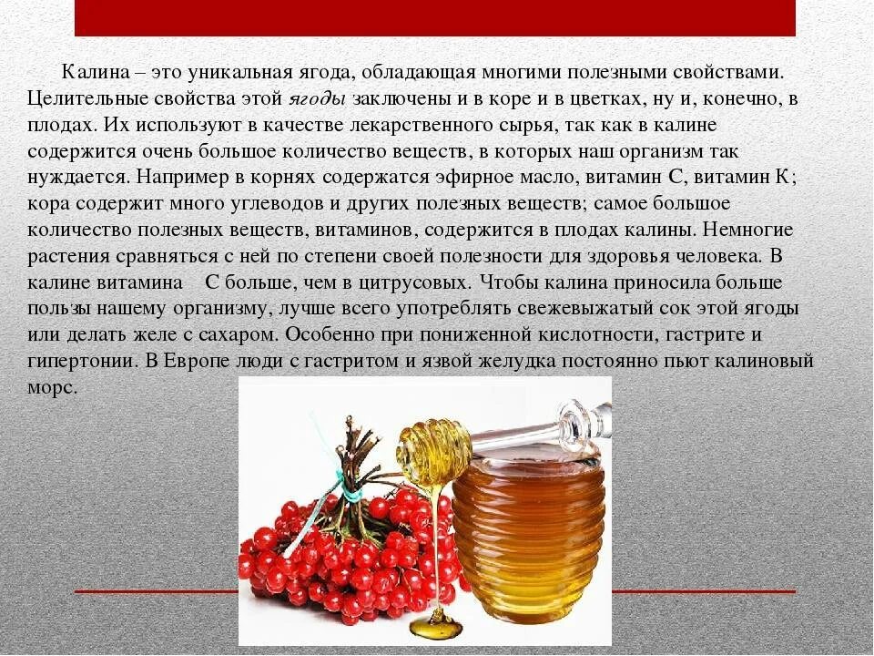 Гранат повышает давление или снижает