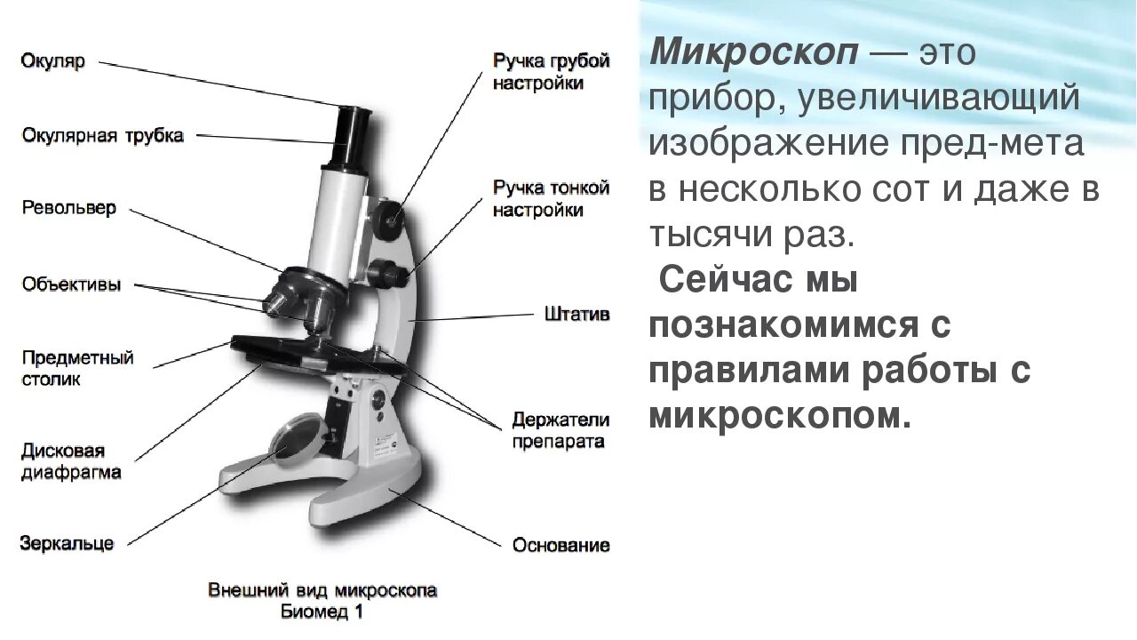 Легкий основные части. Микроскоп строение микроскопа. Микроскоп Биомед 1 строение. Строение микроскопа 5 класс. Строение микроскопа 5.