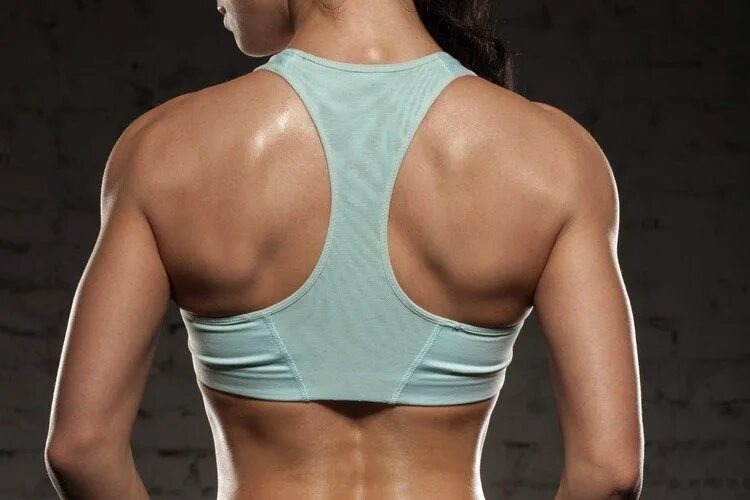 Спортивная женская спина. Широкая спина. Мускулы на спине у женщин. Женская спина мышцы. Back 14