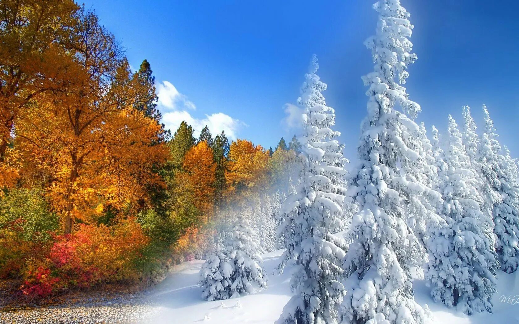 В теплое время года их. Сезонныеиминия в природе. Лето осень. В теплое время года их. Дорога зима лето.