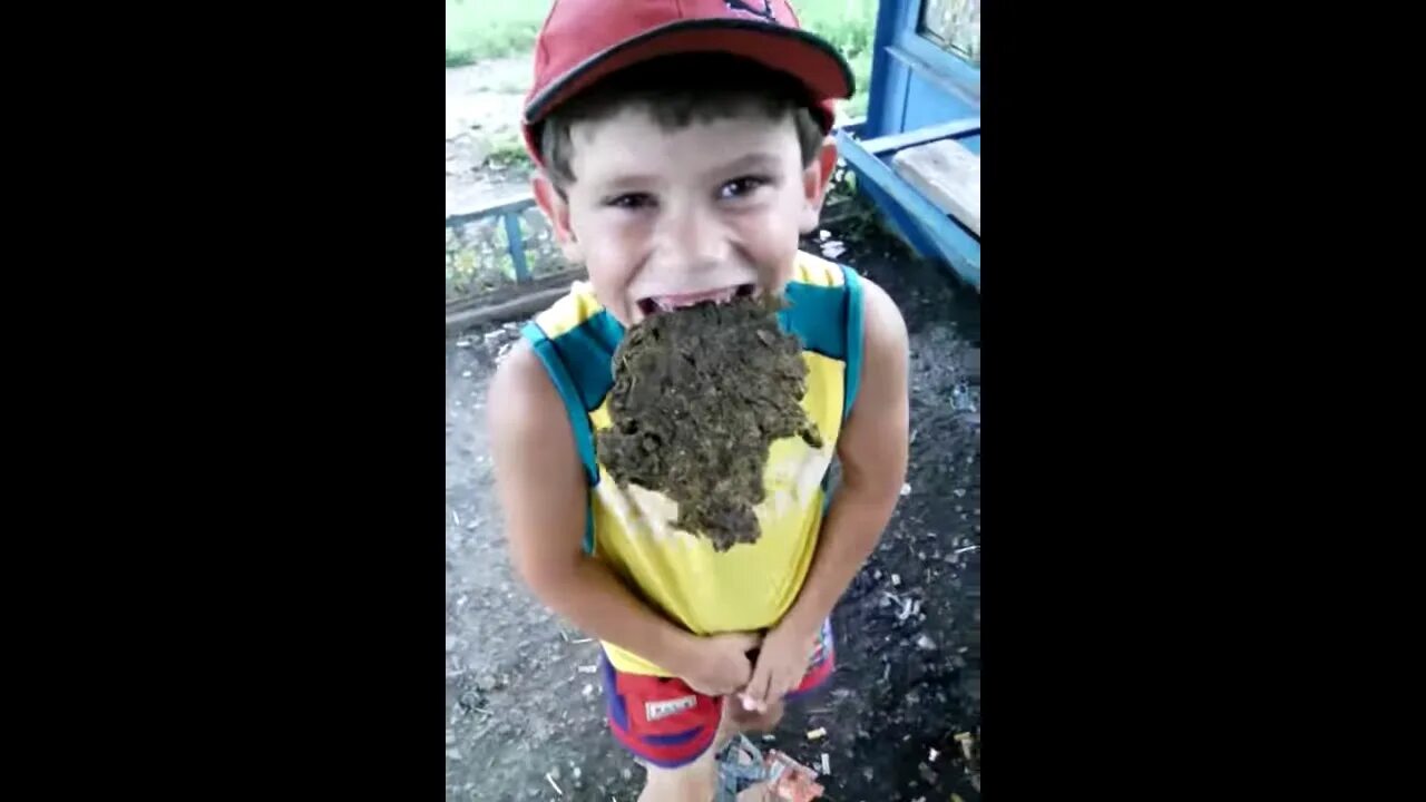 Какая есть какашка. Какая есть какашка