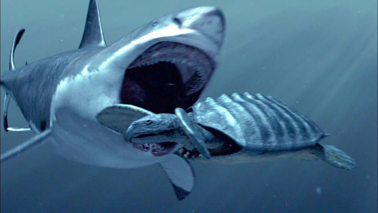 Megalodon fisch