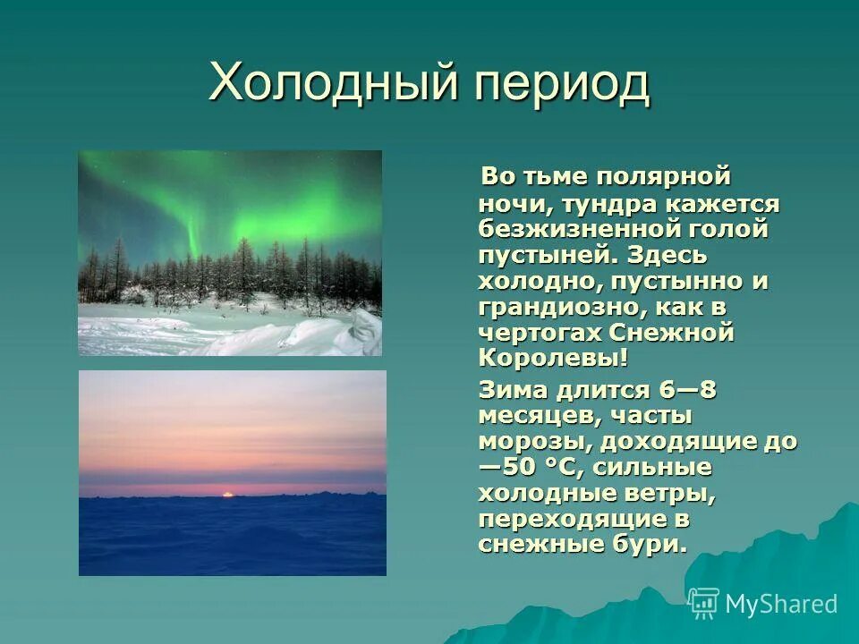 природные зоны россии и их характеристика таблица 8 класс география. таблица природные зоны климатический пояс почвы растения животные. таблица тундра и лесотундра 8 класс. лесотундра таблица. таблица тундра и лесотундра 8 класс.