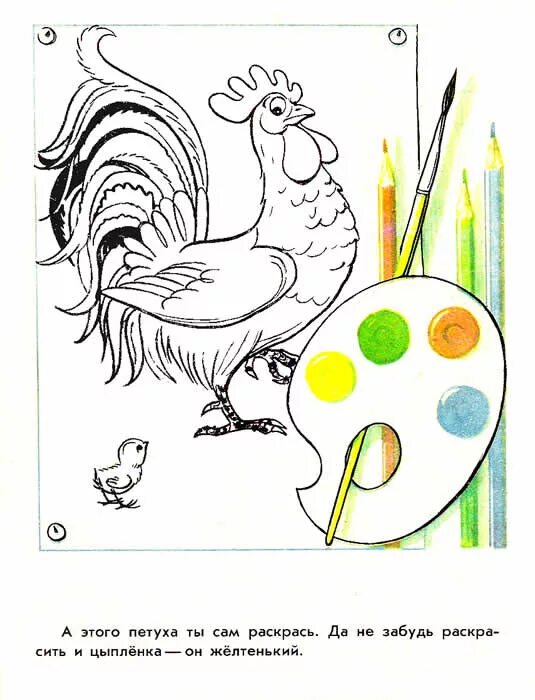 "петух и краски". сутеев петух и краски раскраска. владимир сутеев петух и краски. про петуха и краски. петух и краски мультфильм сутеева.