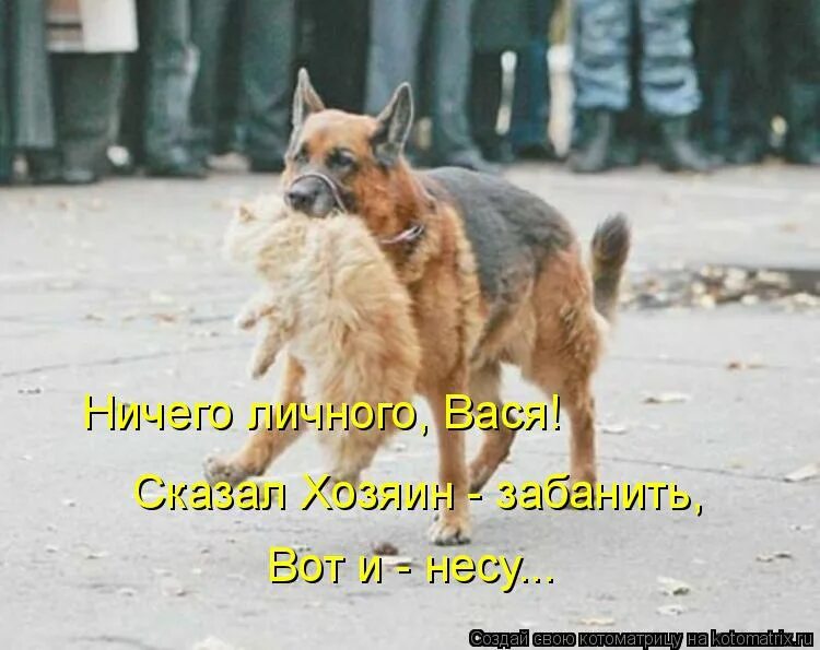 И хозяев и приходящих в