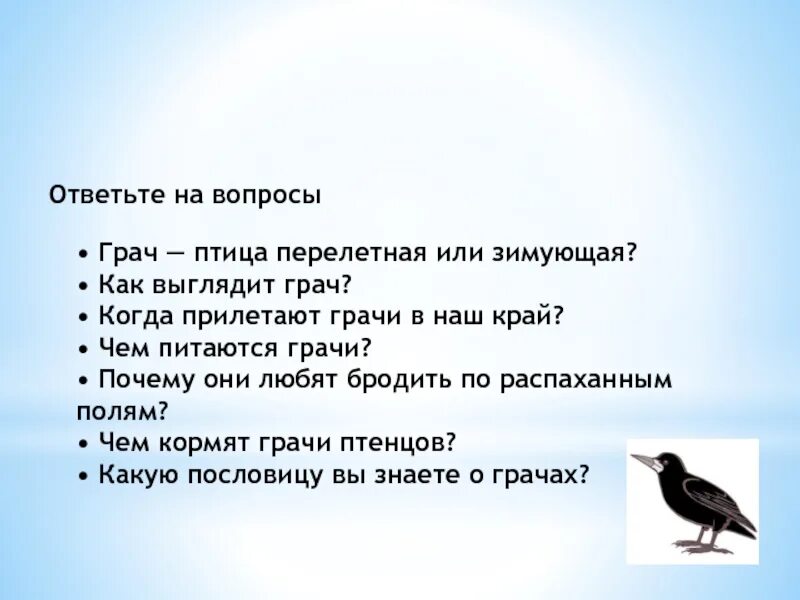 Грачи перелетные птицы или нет. Грач зимующая птица или Перелетная. Когда прилетают Грачи. Чем питается Грач. Грач это Перелетная птица или зимующая птица.