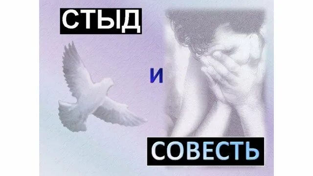 Любовь к отечеству стыд и страх. Стыд и совесть. Стыд и совесть различия и сходства. Совесть рисунок. Нравственные чувства человека. Совесть и стыд.