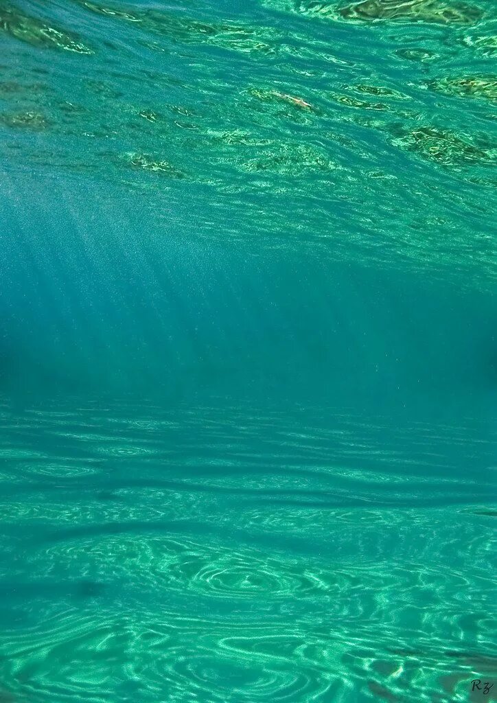 Зеленое море. Зеленая вода в море. Зеленый цвет океана. Сине зеленое море.