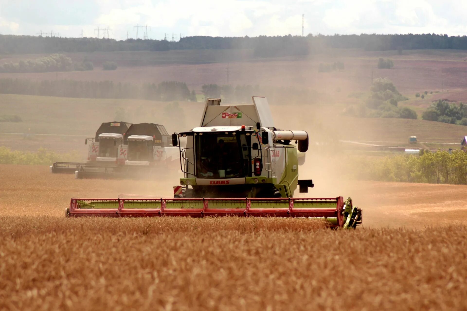 Уборка зерновых 2023. 4 тонны зерна. Уборка урожая. Уборка зерновых 2023. Комбайн.