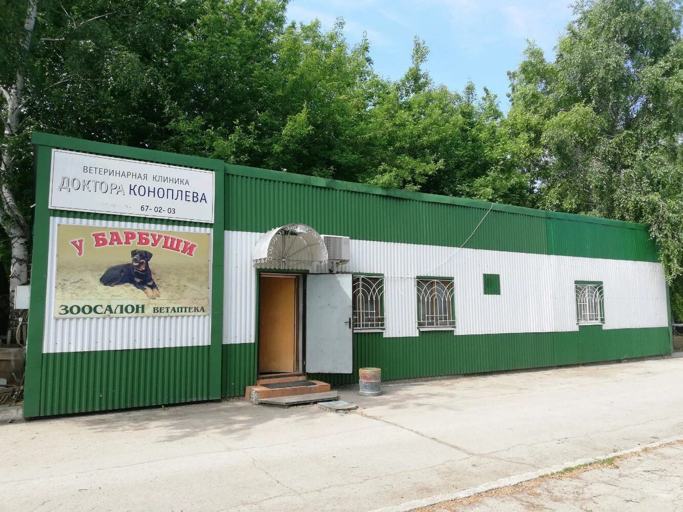 ветеринарка тольятти. ветеринарная клиника тольятти комсомольский район громовой. ветеринарка тольятти. ветклиника на шлюзовом тольятти. барс ветклиника тольятти жигулевская 10.